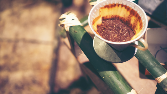 Café Veracruz: El Tesoro Aromático de México