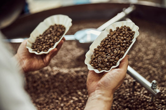 Cómo Elegir el Café Molido Ideal para tu Cafetera Automática: Guía Completa