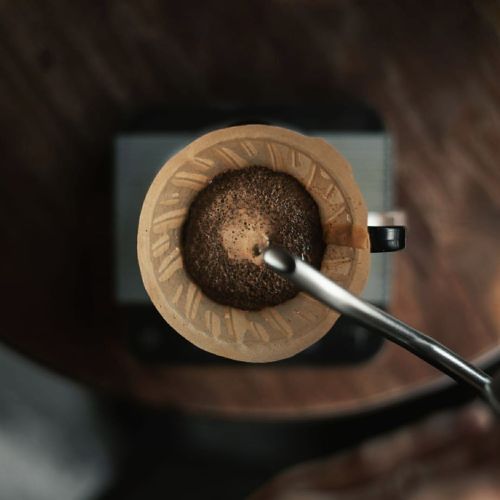 Tipos de Café: Guía Completa para Identificar tu Variedad Favorita