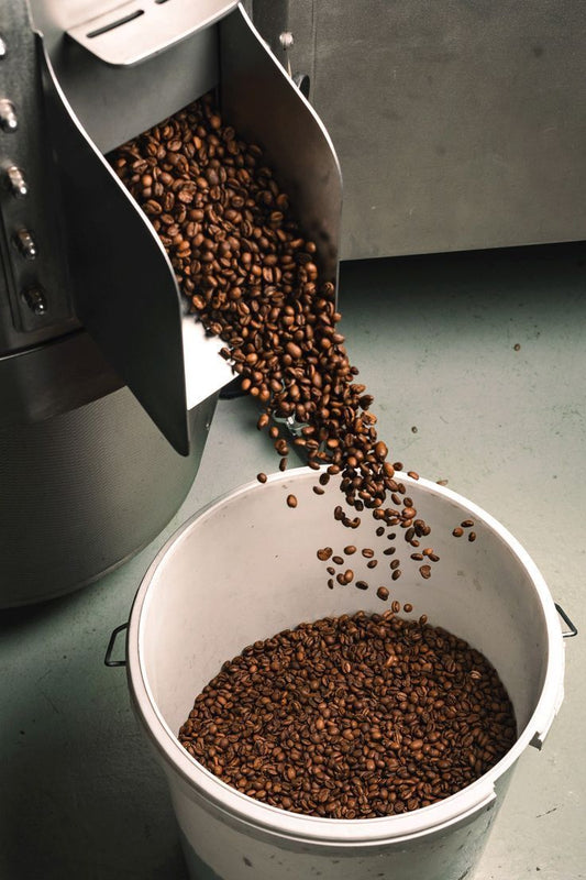 Granos de café tostados veracruz