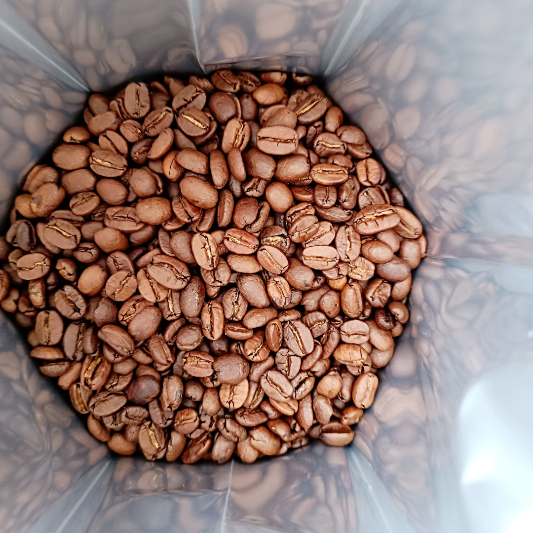 Café de Veracruz especialidad-mayoreo 10 Kg