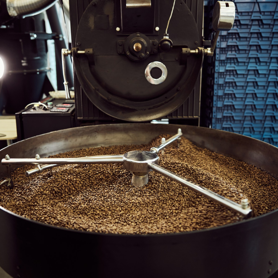 Café de Veracruz 1 kg especialidad grano