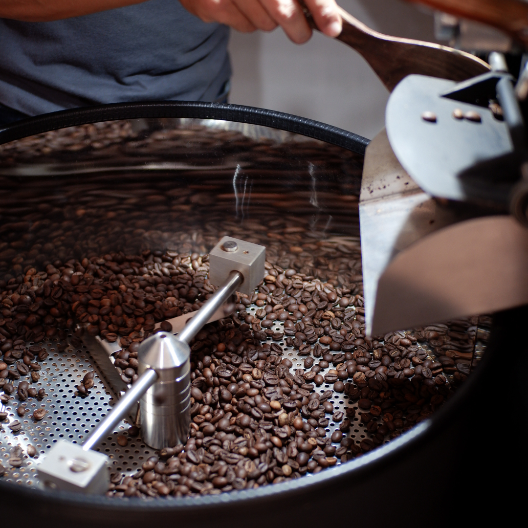 Café de Veracruz 1 kg especialidad grano