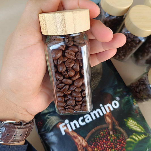 Café de Veracruz especialidad-mayoreo 10 Kg