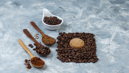 Guía Definitiva para Principiantes en la Degustación de Café