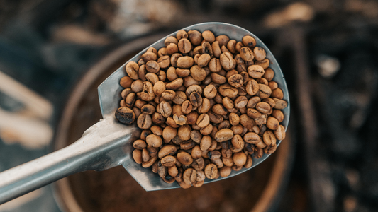 Descubre los Beneficios del Café Tostado en Pequeños Lotes