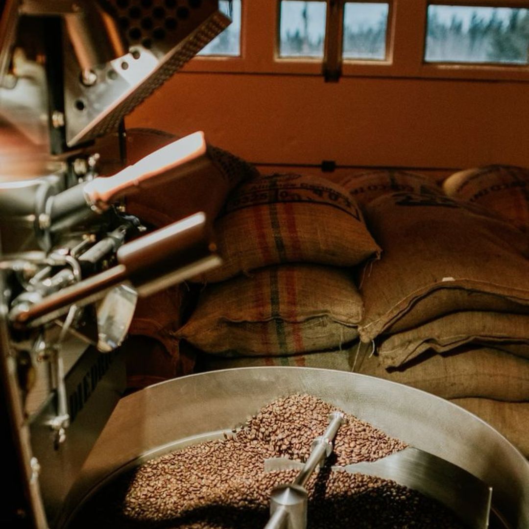 Paquete de muestra café Veracruz 500 g