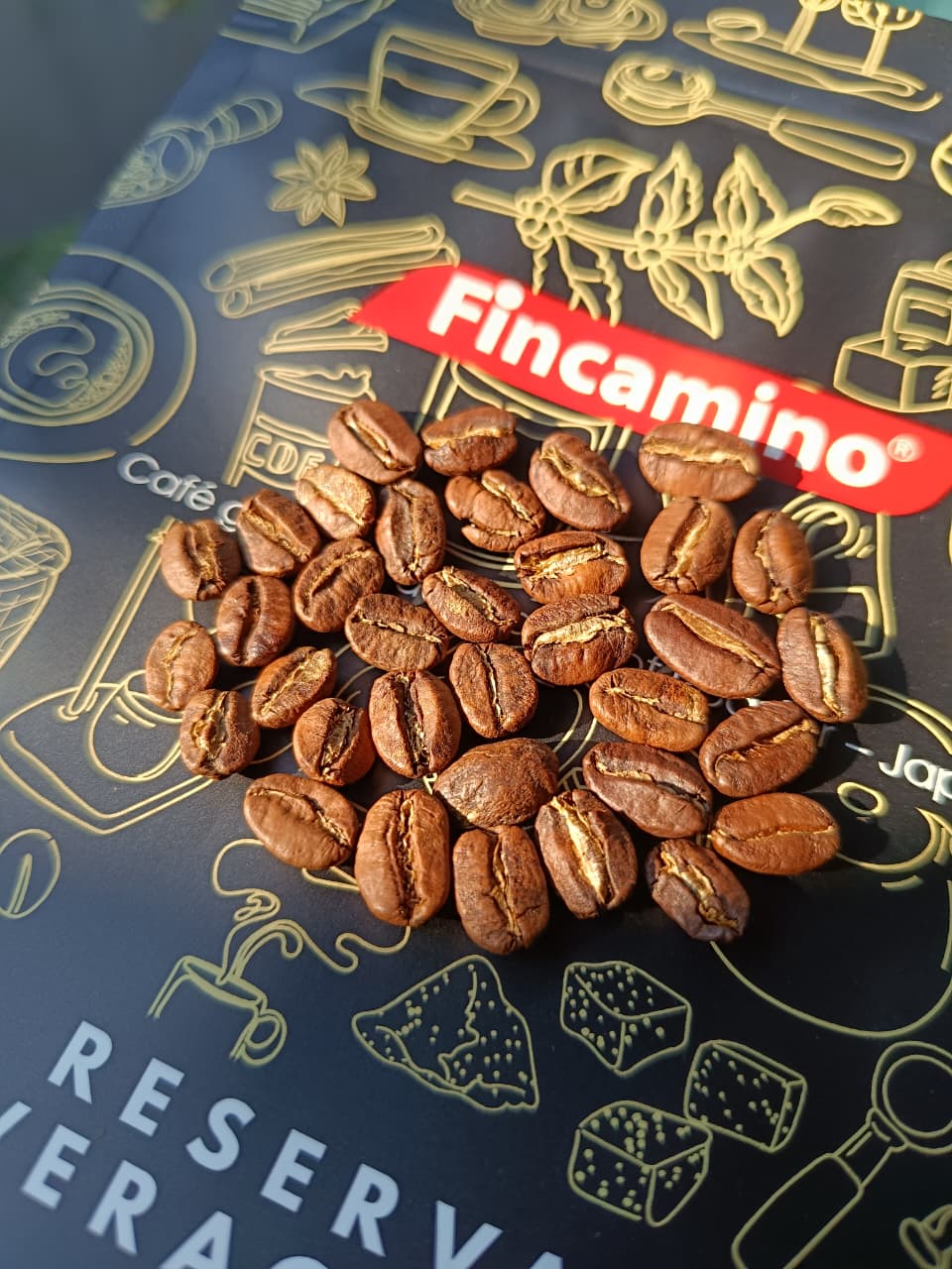 Café de Especialidad Veracruz | 1 kilo